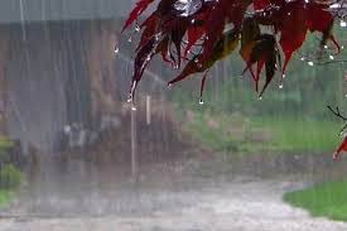 بارش های البرز تا پایان هفته جاری ادامه دارد