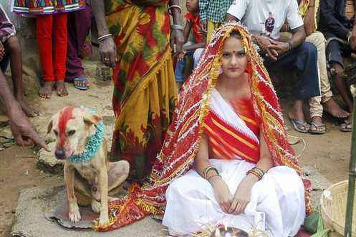ازدواج وحشتناک این دختر با یک سگ ! + عکس