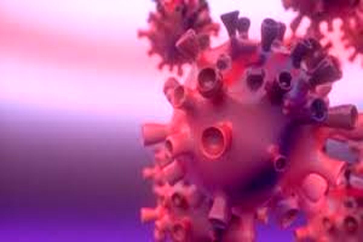 شناسایی ۱۶۱۷ بیمار جدید کووید۱۹ در کشور/مرگ ۴۵۸۵ نفر در ایران بر اثر کرونا