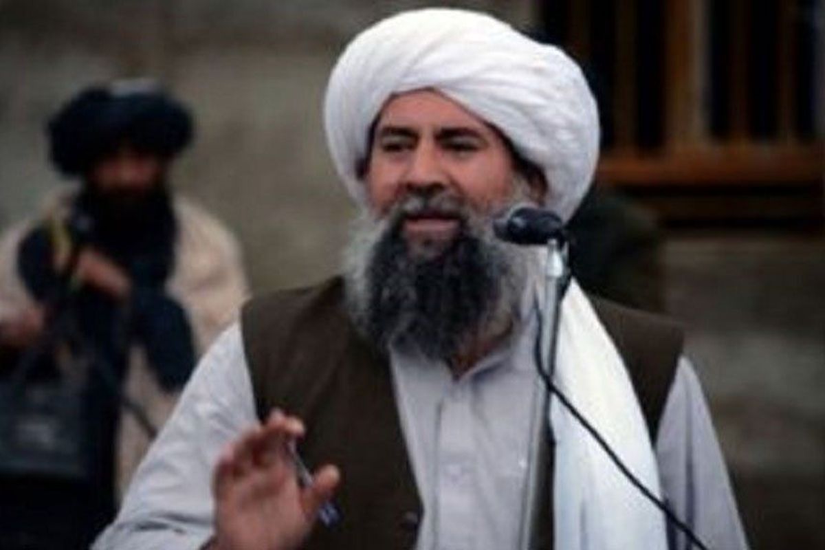معاون شاخه انشعابی طالبان کشته شد