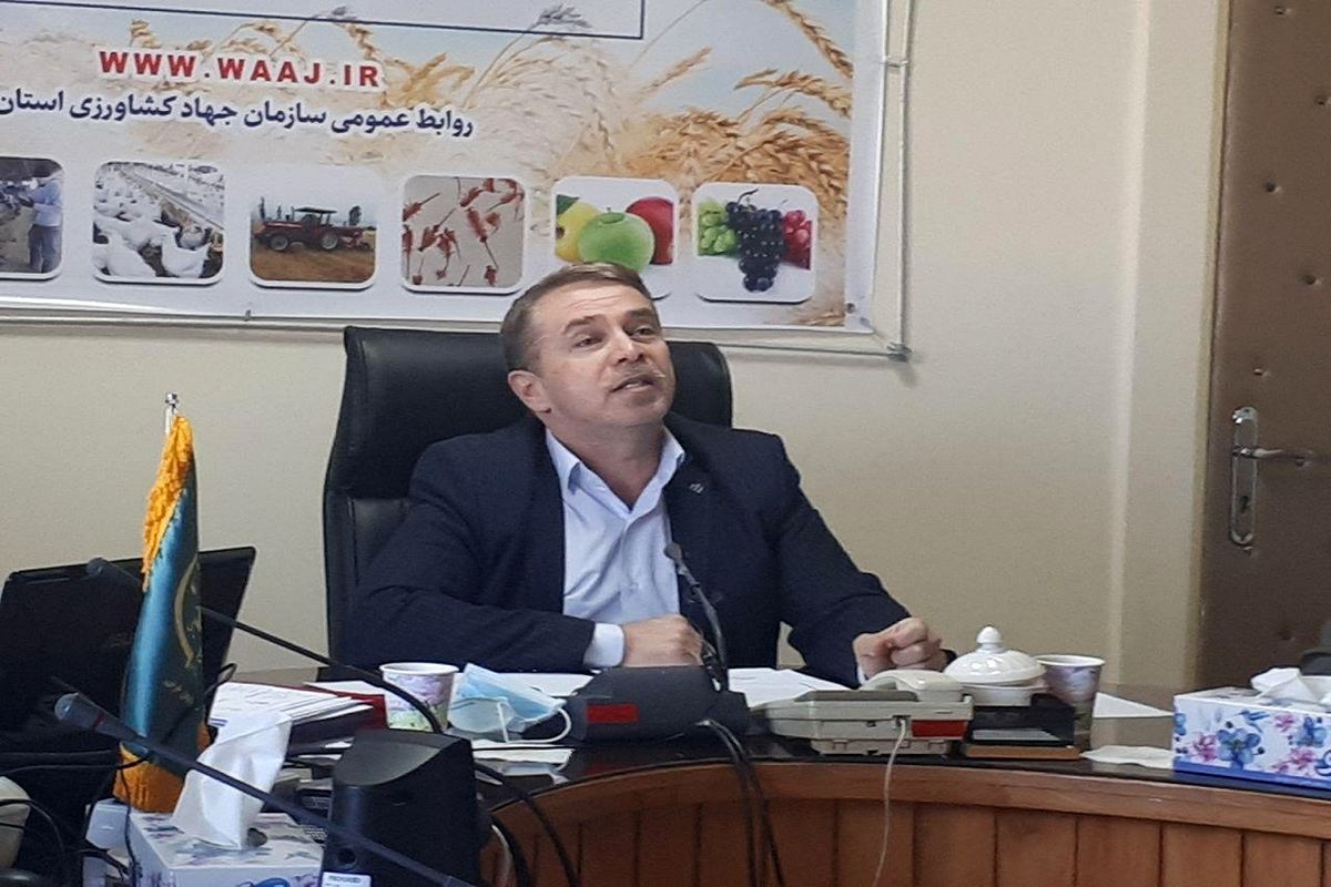 تولید بیش از ۷۳۰هزارتن انواع غلات در آذربایجان غربی