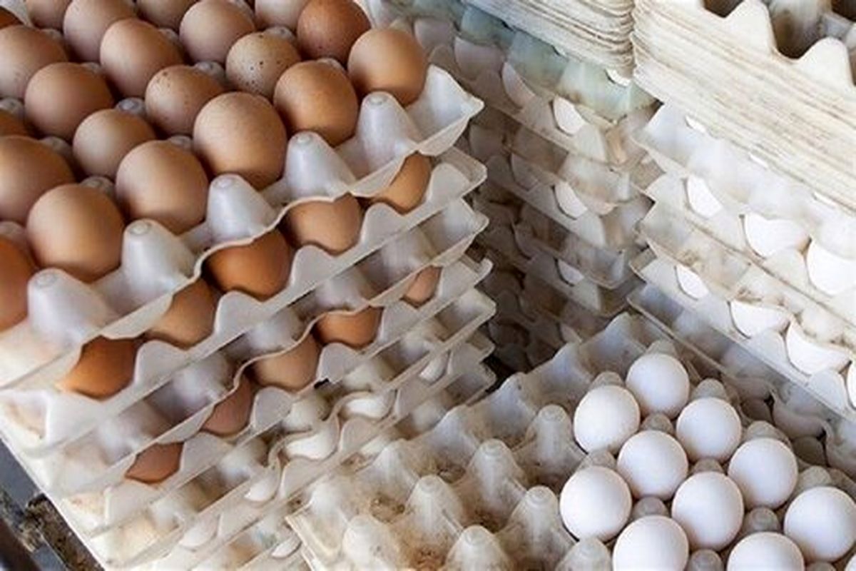 بیش از ۴ تن، تخم مرغ فاقد مجوز کشف شد
