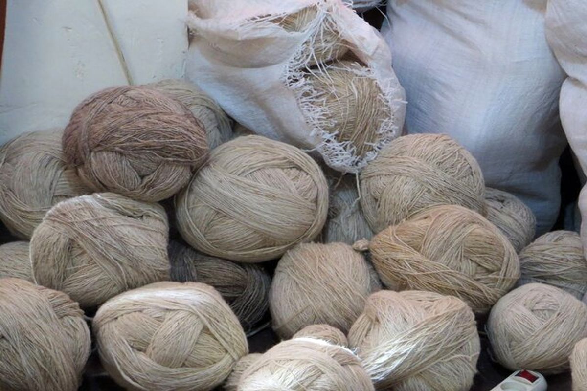 تولید ۷۰۰ کیلوگرم نخ پشمی توسط صنعتگران ایلامی