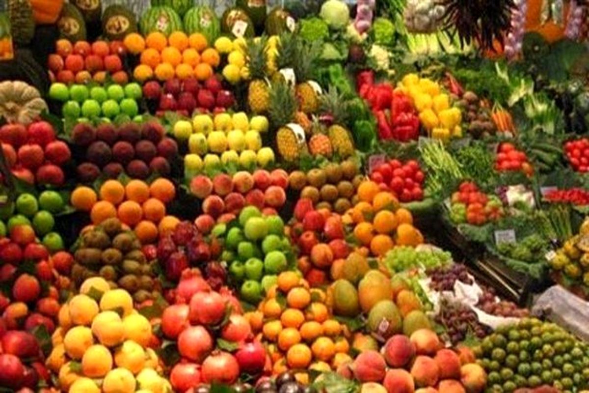 ۵۰۰ میلیون دلار میوه‌های نیمه گرمسیری صادر شد