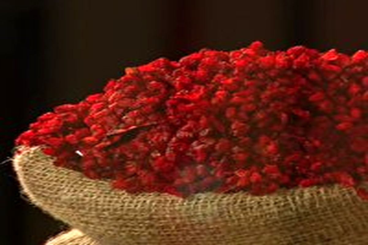 تولید محصول زیبایی از زرشک خراسان جنوبی در نیوزیلند