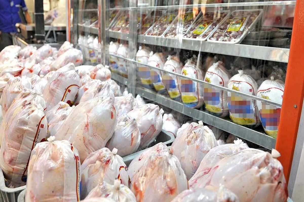 عدم ثبات نرخ مهمترین مشکل فروشندگان و توزیع کنندگان مرغ است