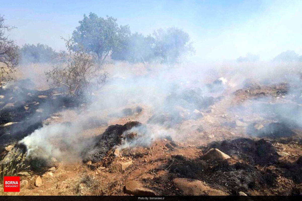 پارک ملی گلستان دوباره دچار آتش سوزی شد