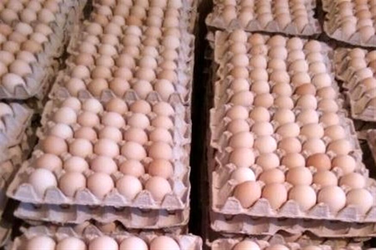تخم مرغ فله ای ، نه به بسته بندی!