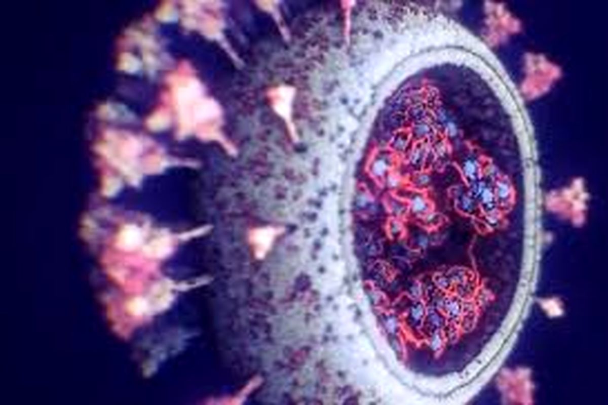 کشف ۱۸ جهش ویروس کرونا در بدن یک بیمار!