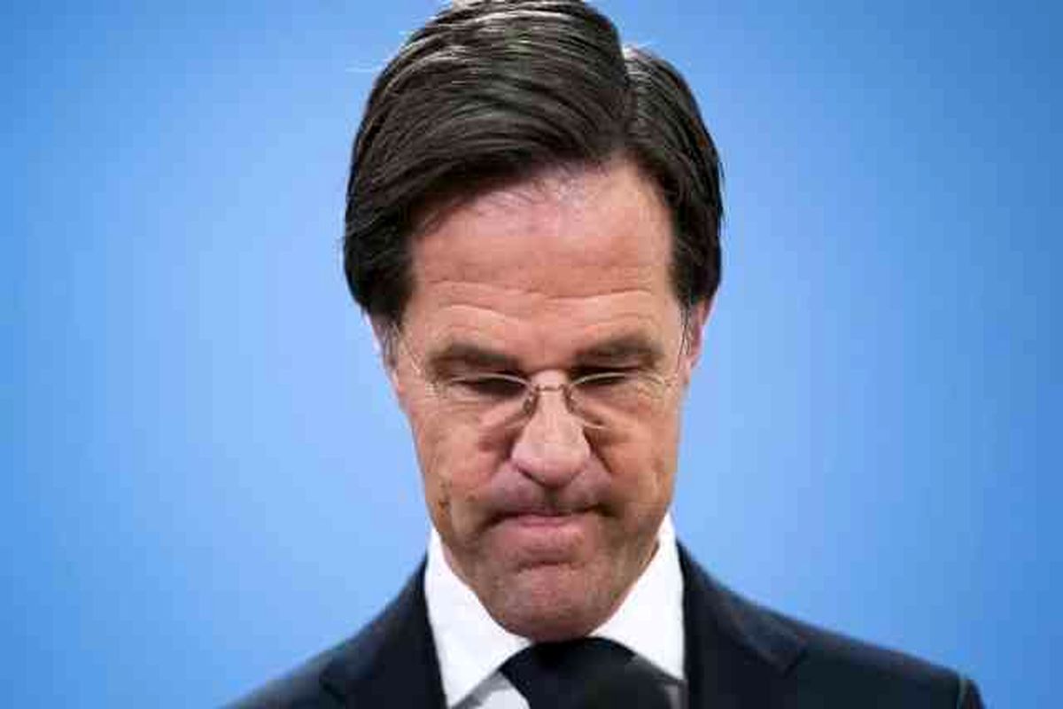 دولت هلند استعفا کرد
