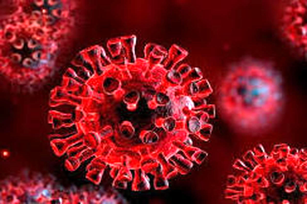 علی انصاریان به ویروس انگلیسی مبتلا نیست/ احتمال افزایش مرگ و میرهای ناشی از ابتلا به ویروس بریتانیایی/ ویروس کرونا در کشور در حال کنترل است