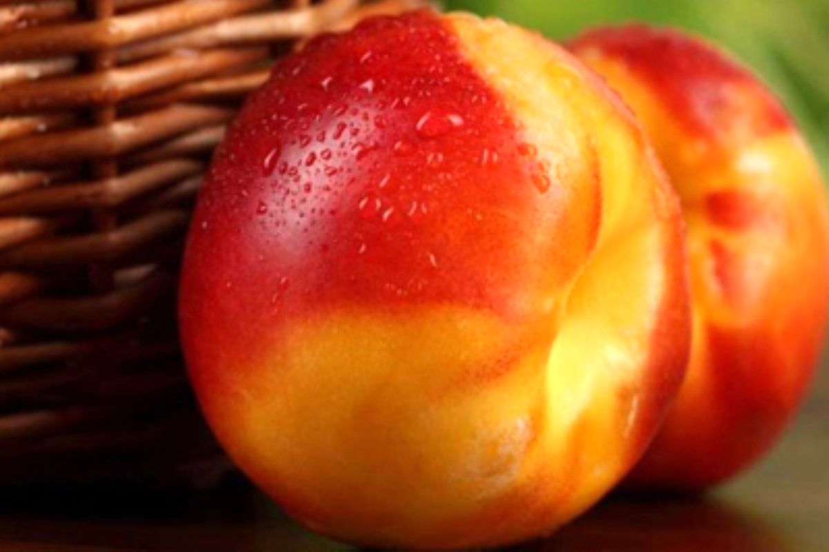 ۲ میوه که خطرناک ترین سلول‌های سرطانی را نابود می کنند!