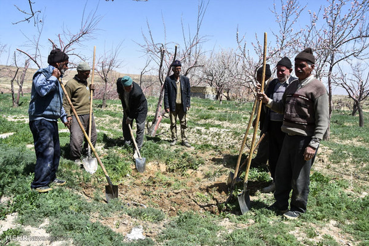 حقوق مستمری‌بگیران صندوق بیمه اجتماعی در همدان ۵۲ درصد افزایش یافت