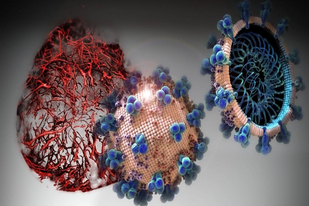 نخستین کنفرانس بین المللی آموزش مجازی در دوران کرونا برگزار شد