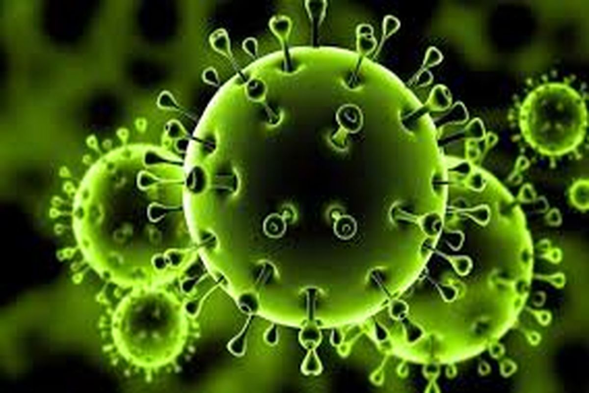 نخستین مورد ابتلا به ویروس برزیلی کرونا در آمریکا گزارش ‌شد