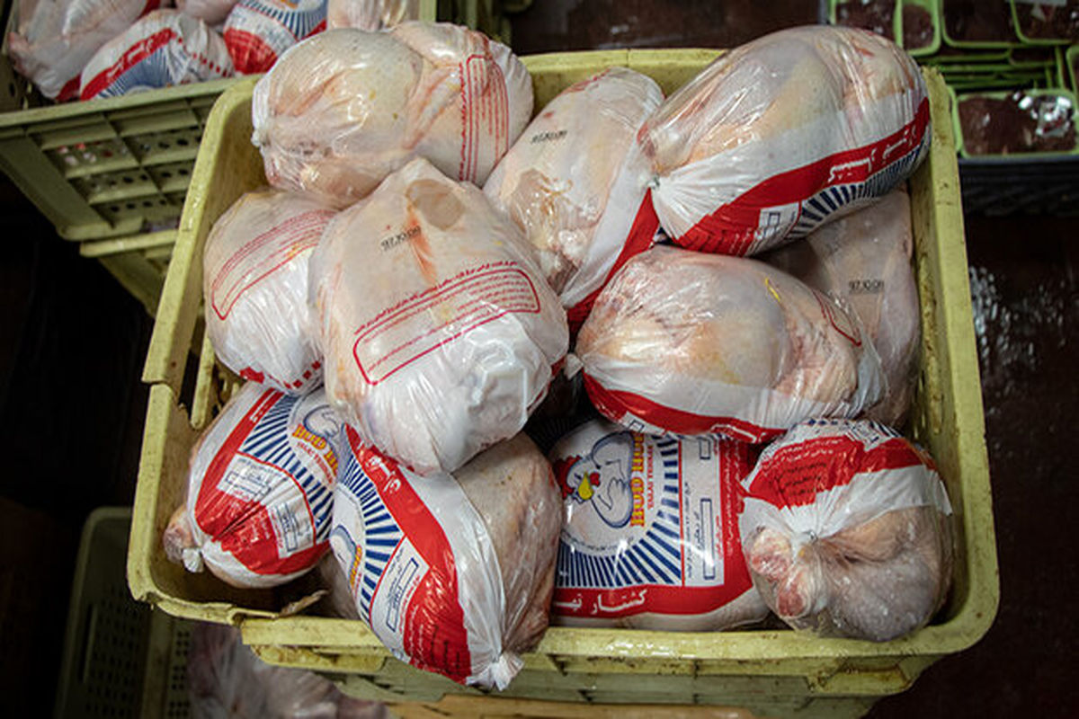 بیش از یک تن مرغ قاچاق در پارسیان به مقصد نرسید