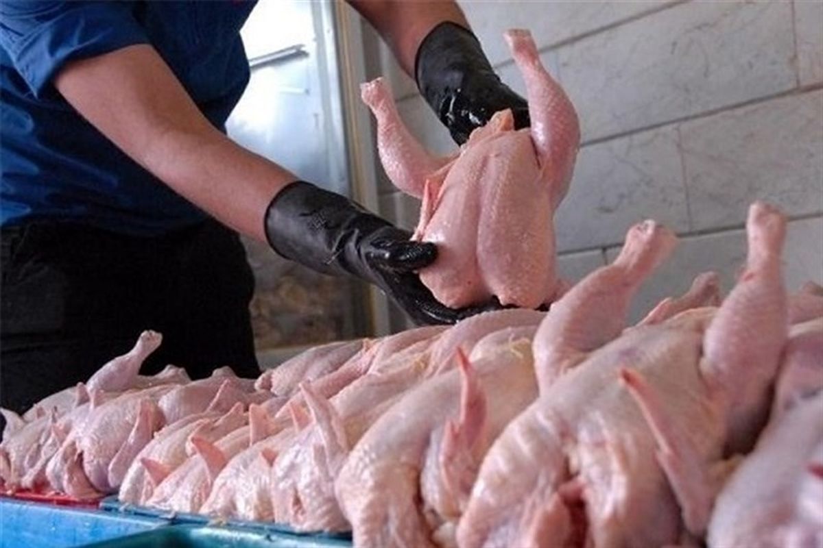 ۵۵ تن گوشت مرغ منجمد به بازار زنجان تزریق می شود