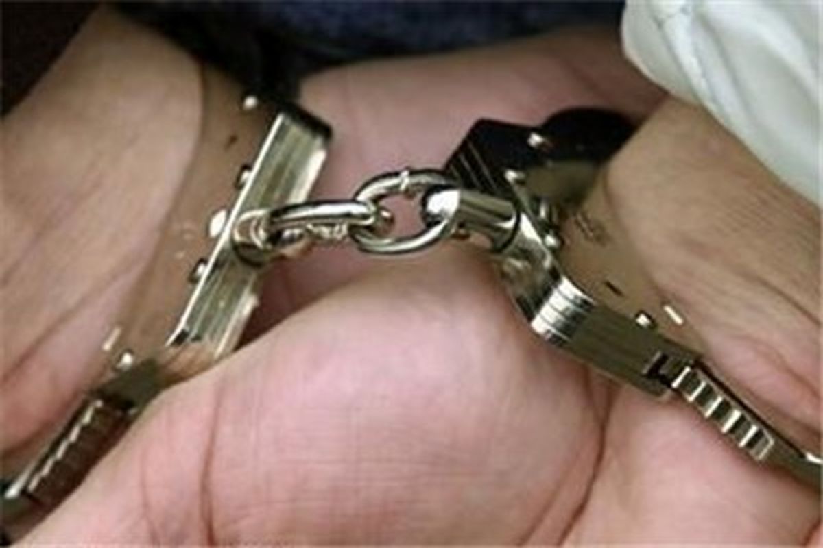 دستگیری عامل تحرکات ضد امنیتی در بافت