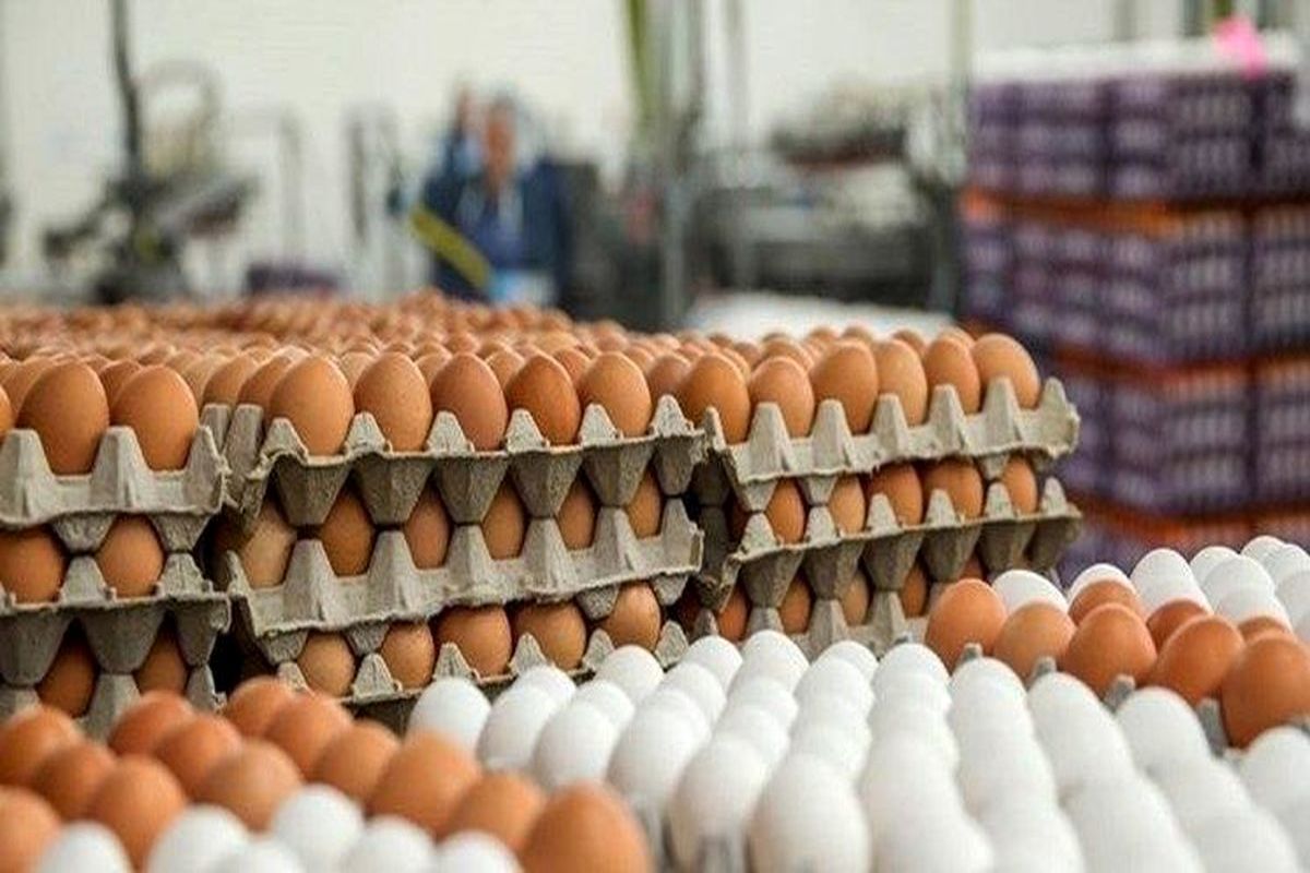 تخم مرغ‌های غیر بسته‌بندی در معرض کرونا هستند