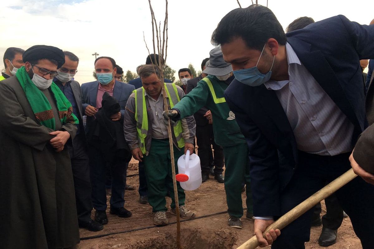 کاشت ۲۰ هزار اصله نهال بمناسبت هفته درختکاری در قیامدشت