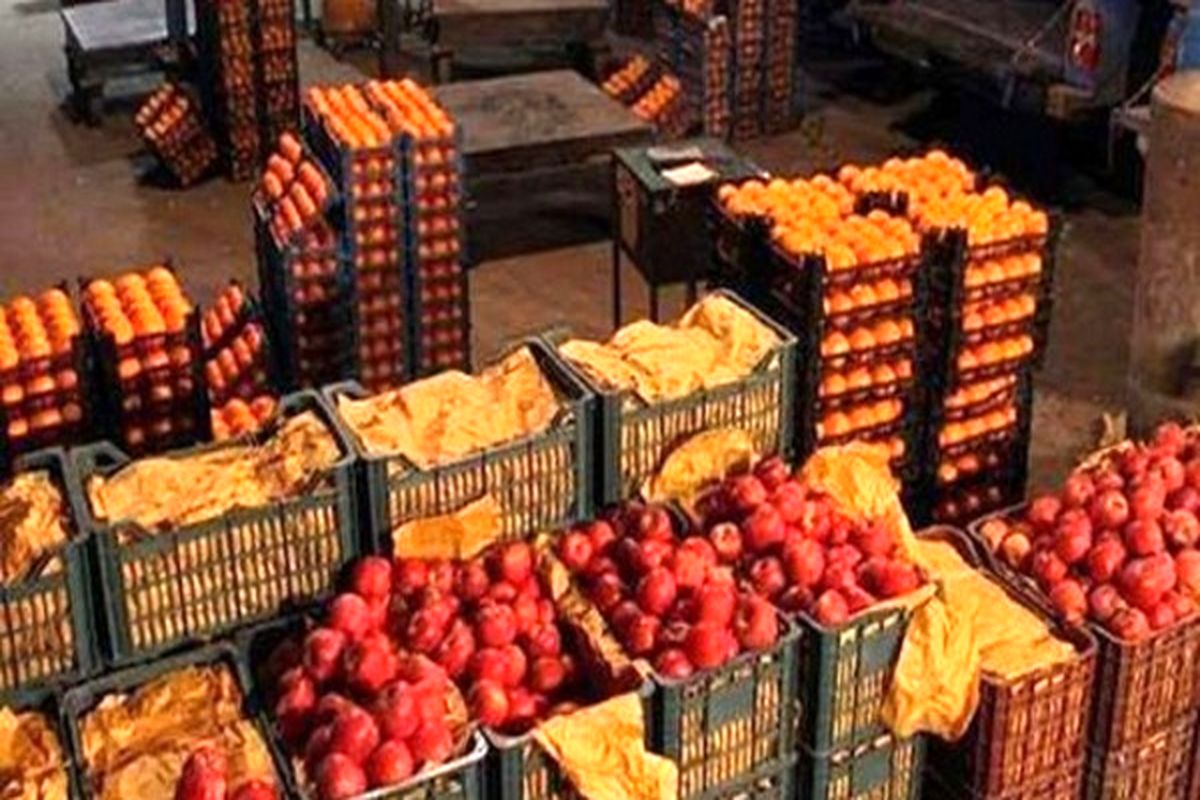 سیب و پرتقال شب عید بازار کرج تأمین است/ کمبودی درکالاهای اساسی نداریم