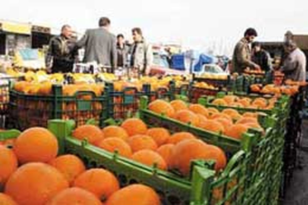 توزیع میوه عید به نرخ مصوب در یزد آغاز شد