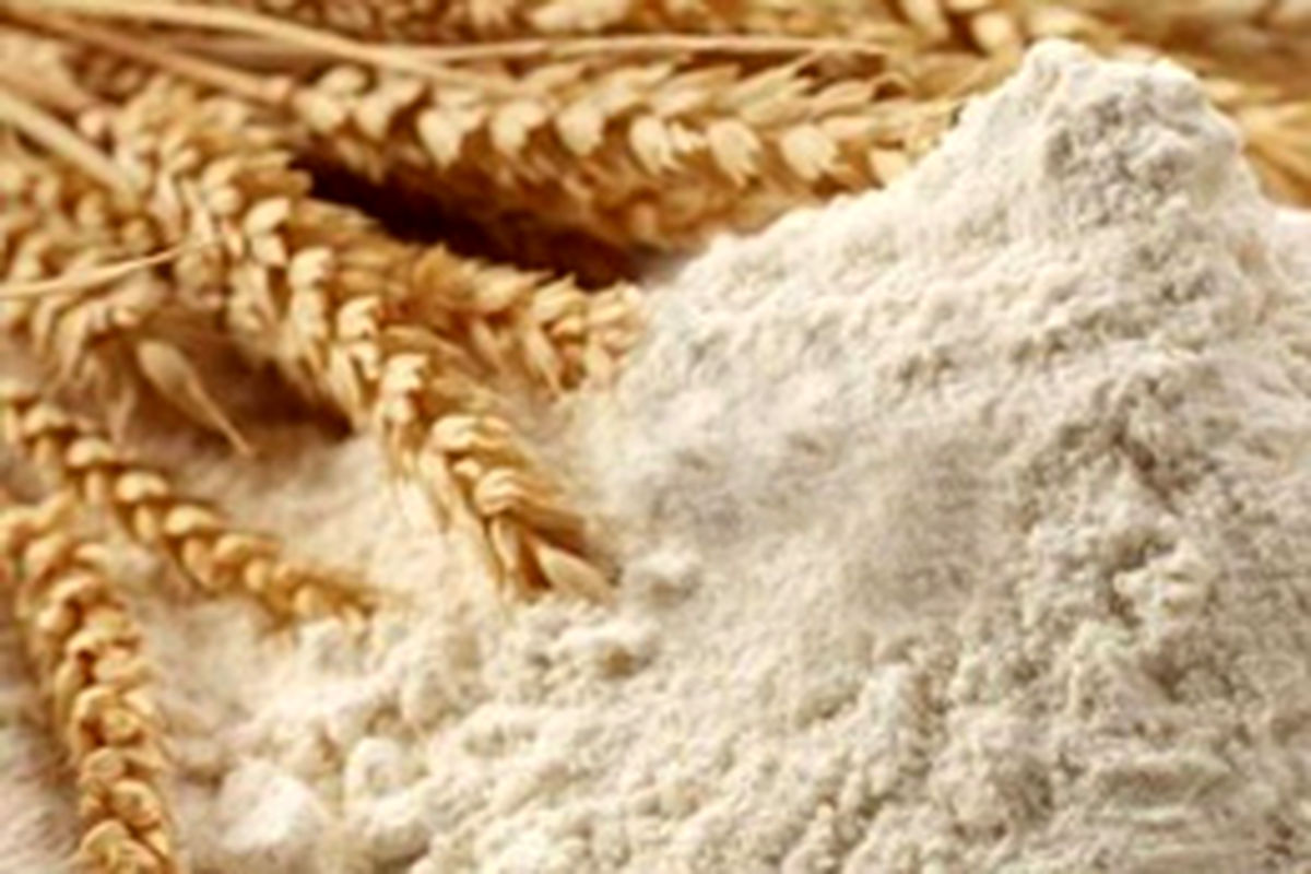 کیفیت آرد تولیدی کشور استاندارد است/ افزایش ۰.۳۶ درصدی میزان پروتئین آرد کشور در سه ماهه سوم امسال