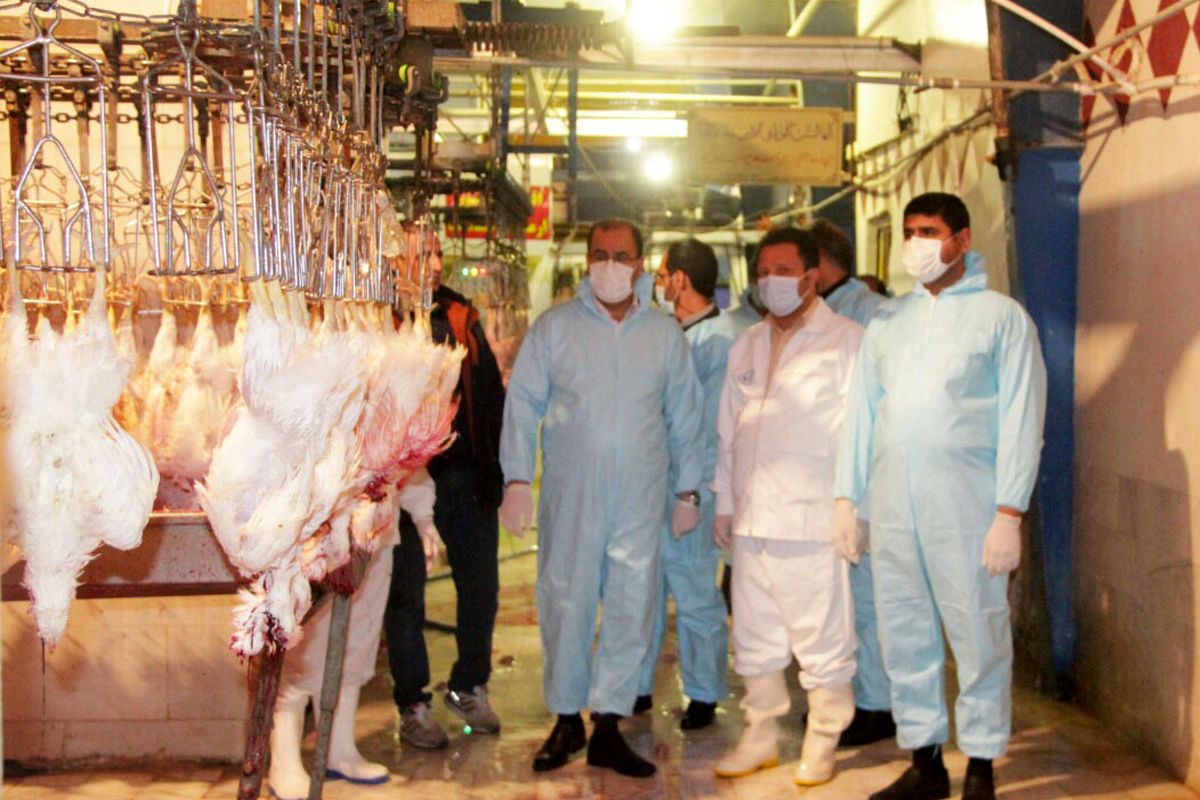 با توجه به خطر شیوع  آنفلوآنزای فوق حادپرندگان مردم مرغ زنده مصرف نکنند