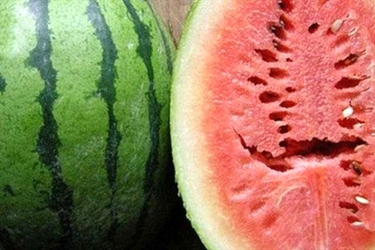 خوردن این نوع هندوانه باعث سرطان می شود!