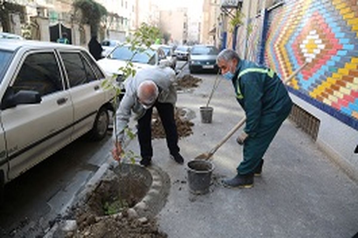 بیش از ۷هزار نهال در معابر و بوستان های منطقه ۱۱ کاشته شد