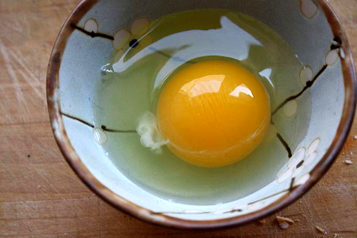 رشته سفید رنگ کنار زرده تخم مرغ چیست؟