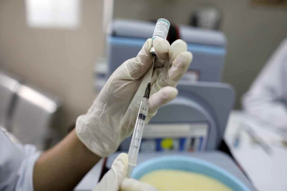 آزمایش موفق واکسن کرونا بر روی میمون