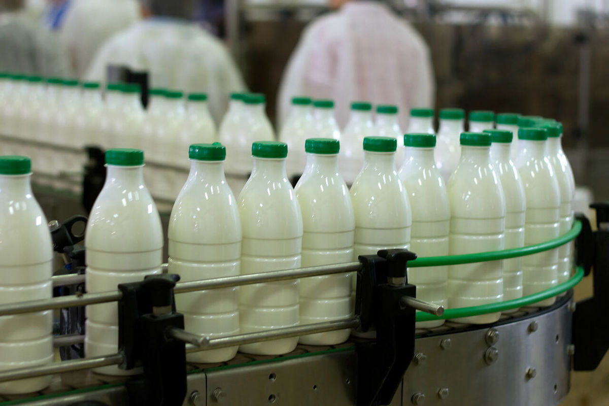 تولیدات شیر به ۱۱میلیون تن رسید