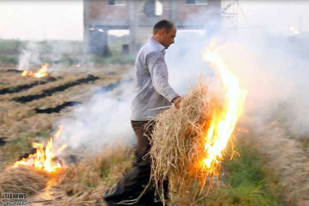 ارایه بیش از ۲۵ هزار نفر آموزش های ترویجی به منظور جلوگیری از آتش زدن مزارع