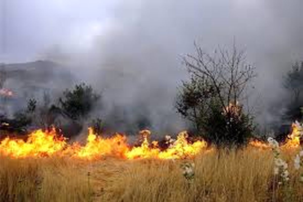 تجمیع امکانات استان سمنان برای جلوگیری از آتش سوزی جنگل ها