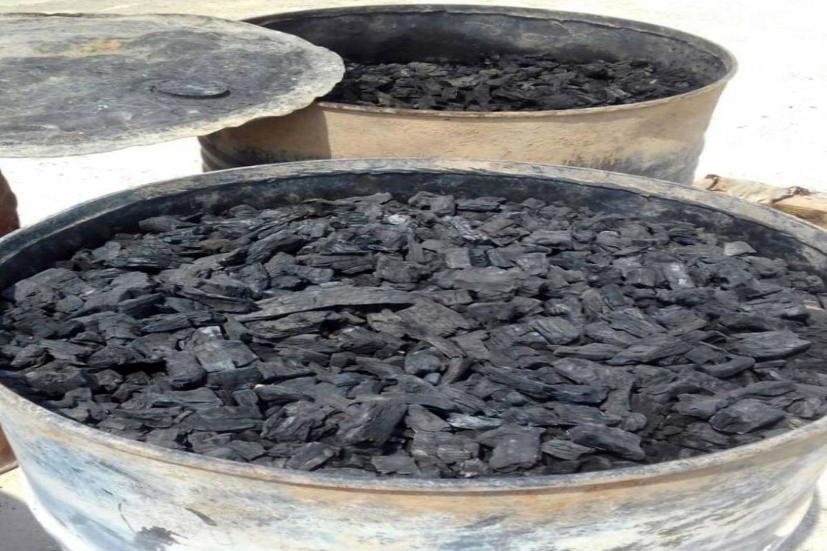 یک واحد غیرمجاز تولید زغال در قرچک پلمب شد