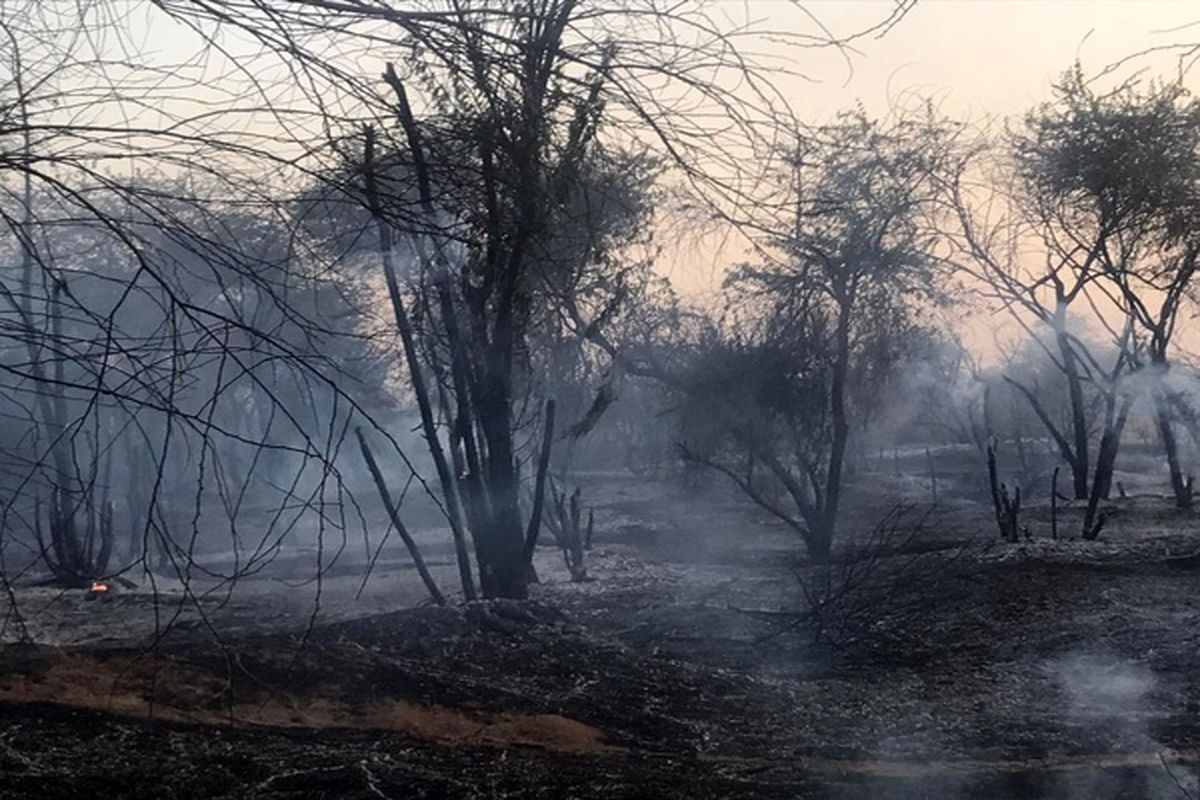 مهار آتش سوزی ۲ پارک و یک نیزاز طی ۲ روز  گذشته در اهواز