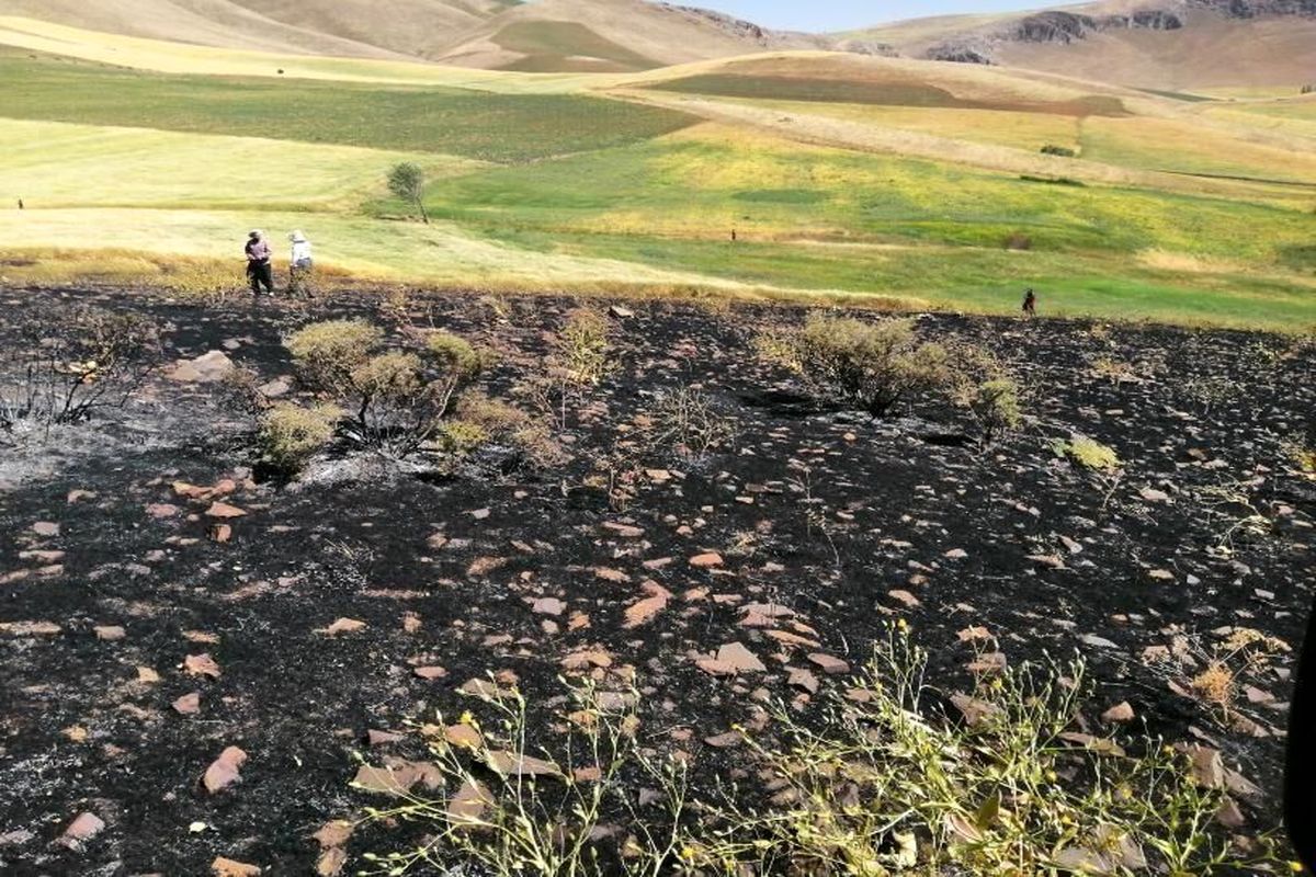 مهار آتش‌سوزی در ارتفاعات کوه پهن گچساران