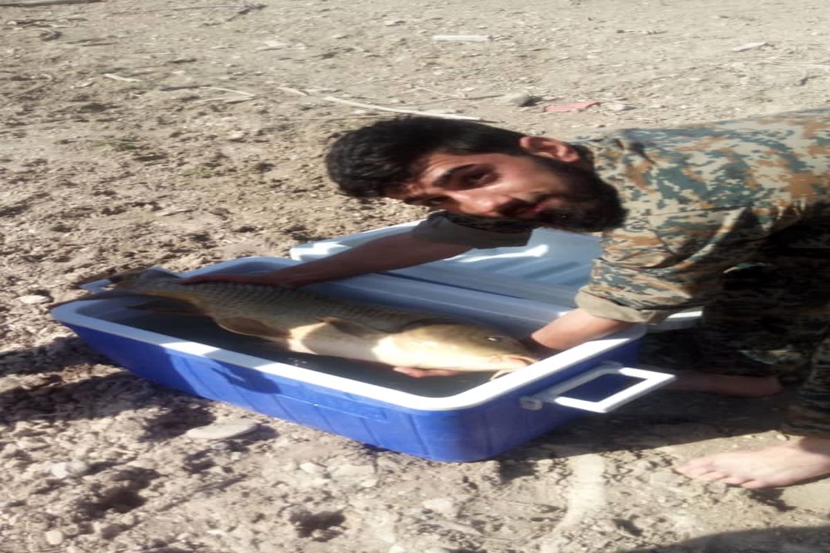 دستگیری دو گروه صیاد ماهی در سد لتیان