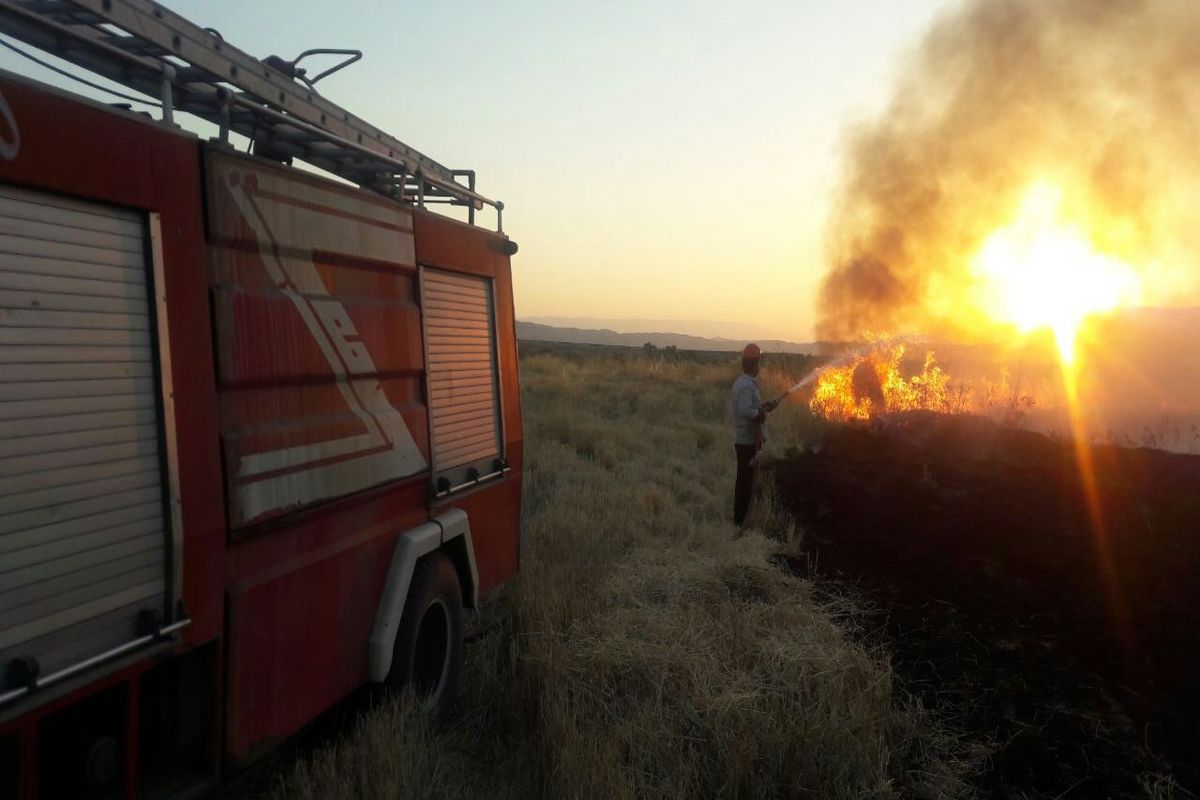 آتش مزارع کشاورزی پلدختر را بلعید