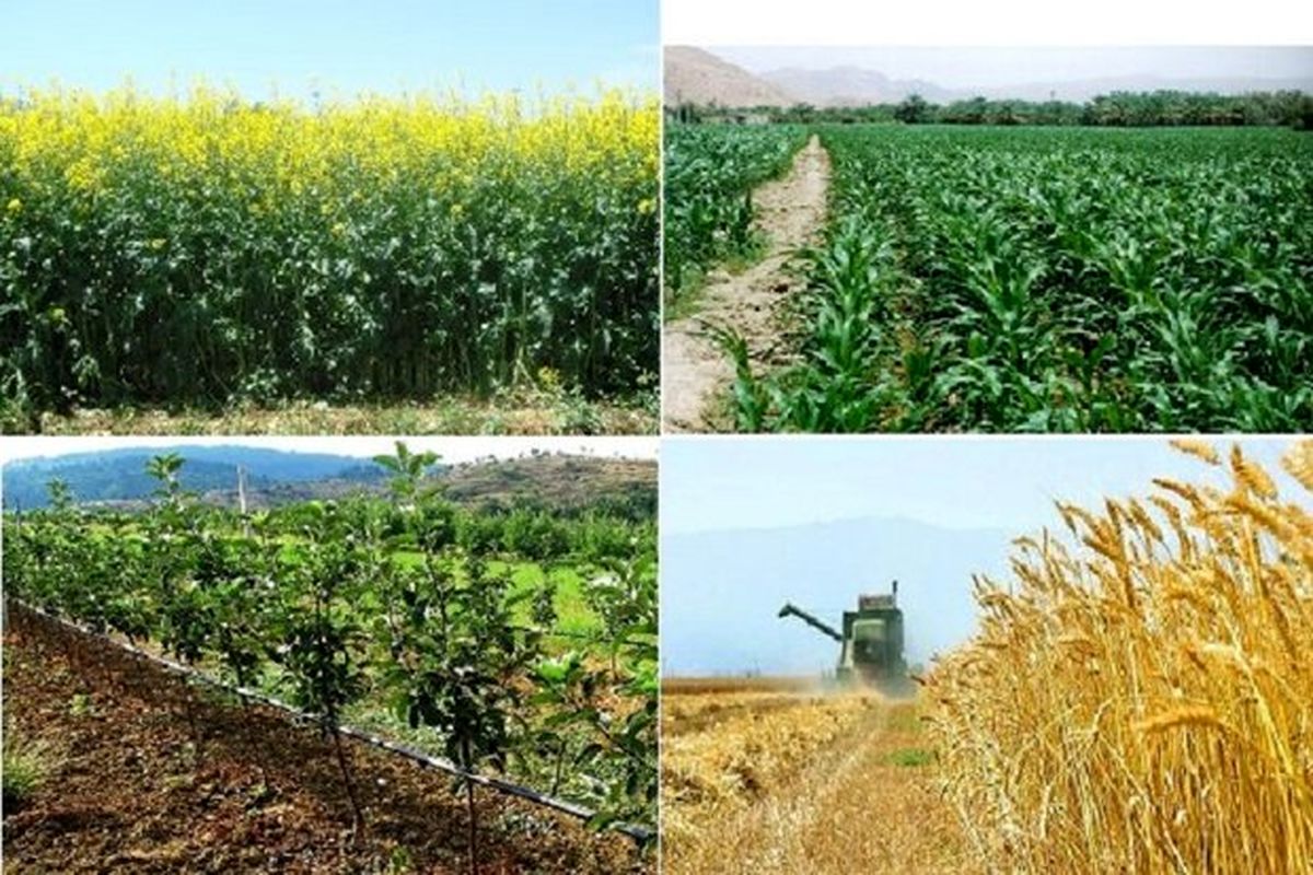 ۱۸۲ پروژه کشاورزی در سیستان و بلوچستان به بهره برداری رسید
