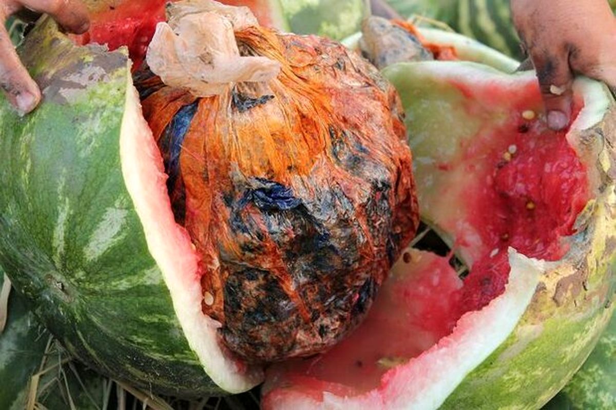 هندوانه های تریاکی کشف شد