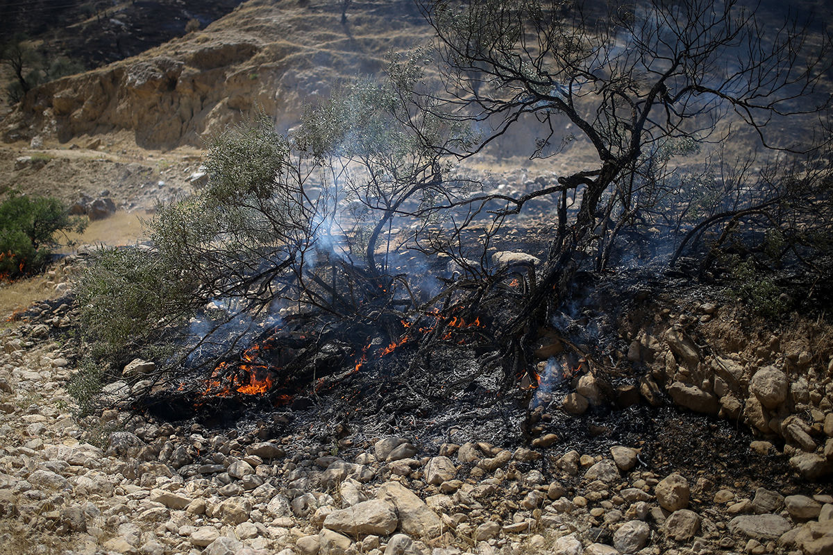 آخرین جزئیات از آتش‌سوزی پارک جنگلی آبیدر سنندج