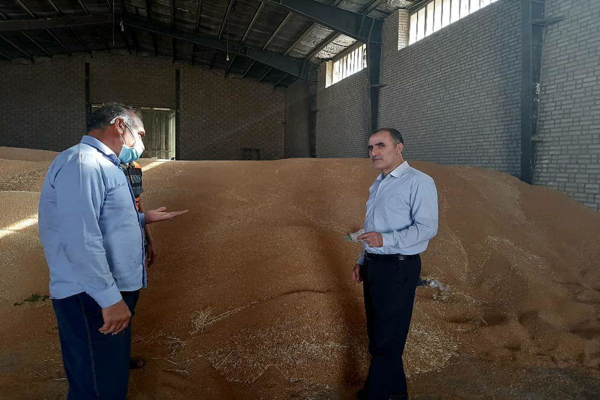 خریدبیش از ۴۲ هزار تن گندم از کشاورزان لرستانی تاکنون