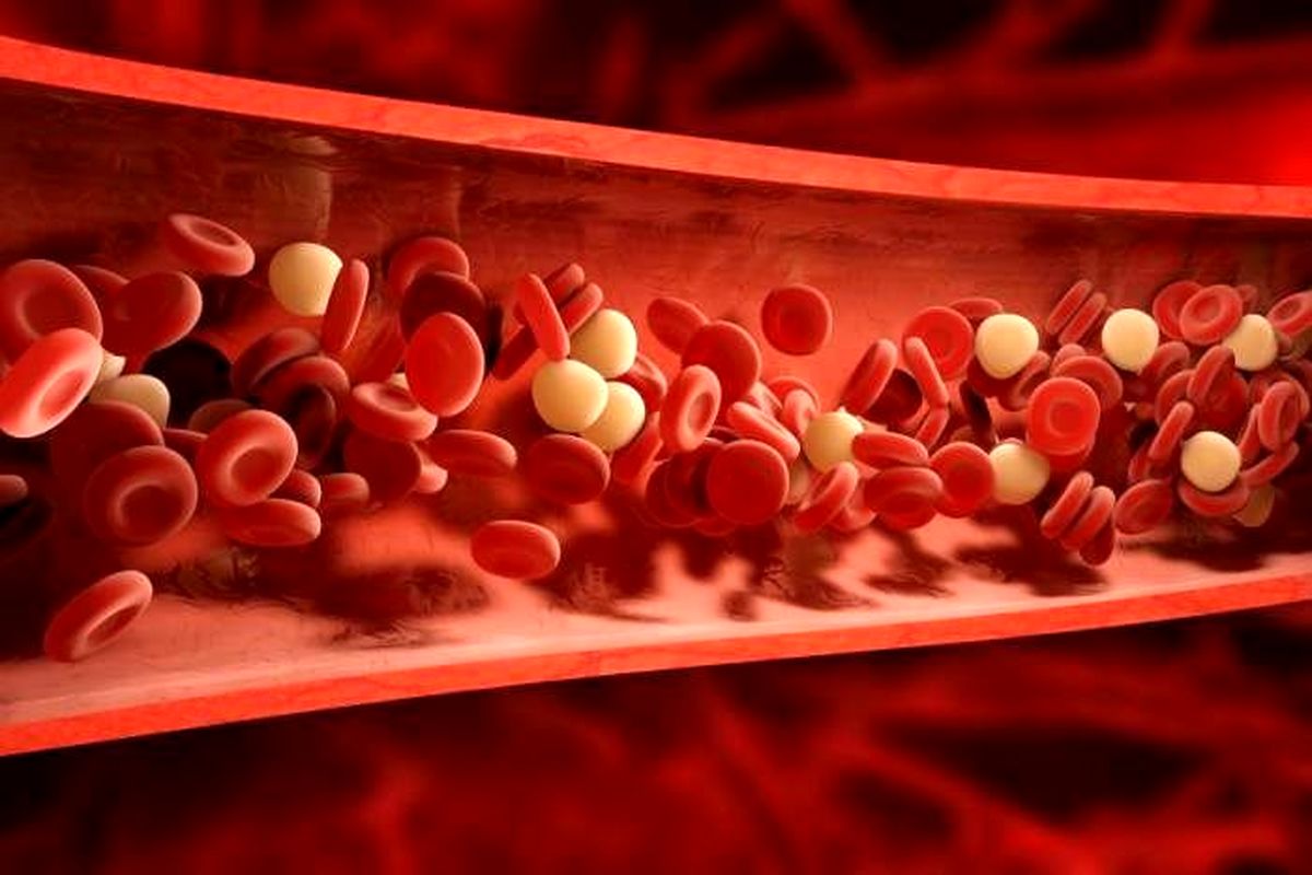 چه کار کنیم کلسترول خون را به سرعت کاهش دهیم؟