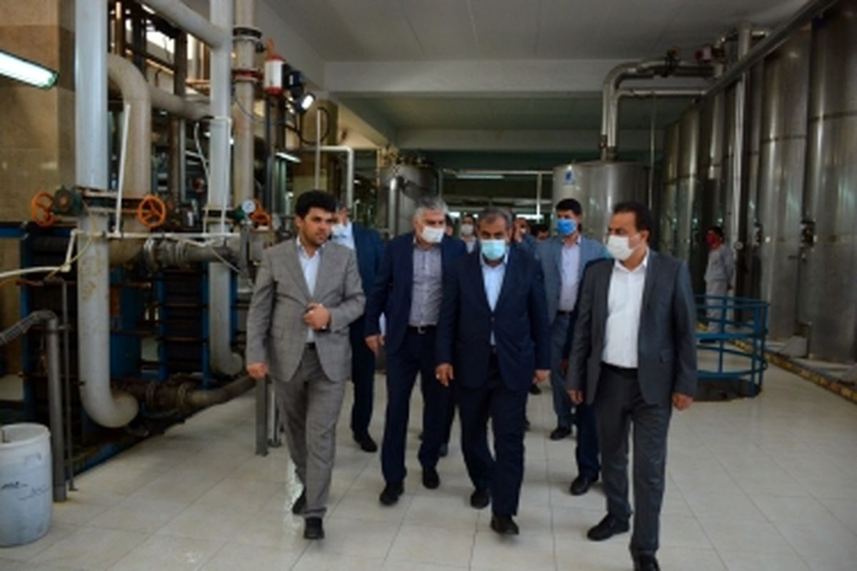 استاندار قزوین به همراه دبیر کارگروه ملی تسهیل از چند واحد تولیدی بازدید کرد