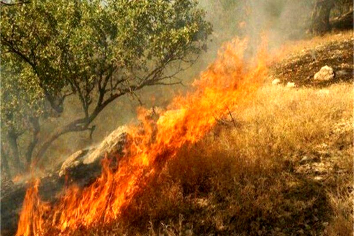 آتش سوزی جنگل ها به خرم آباد رسید