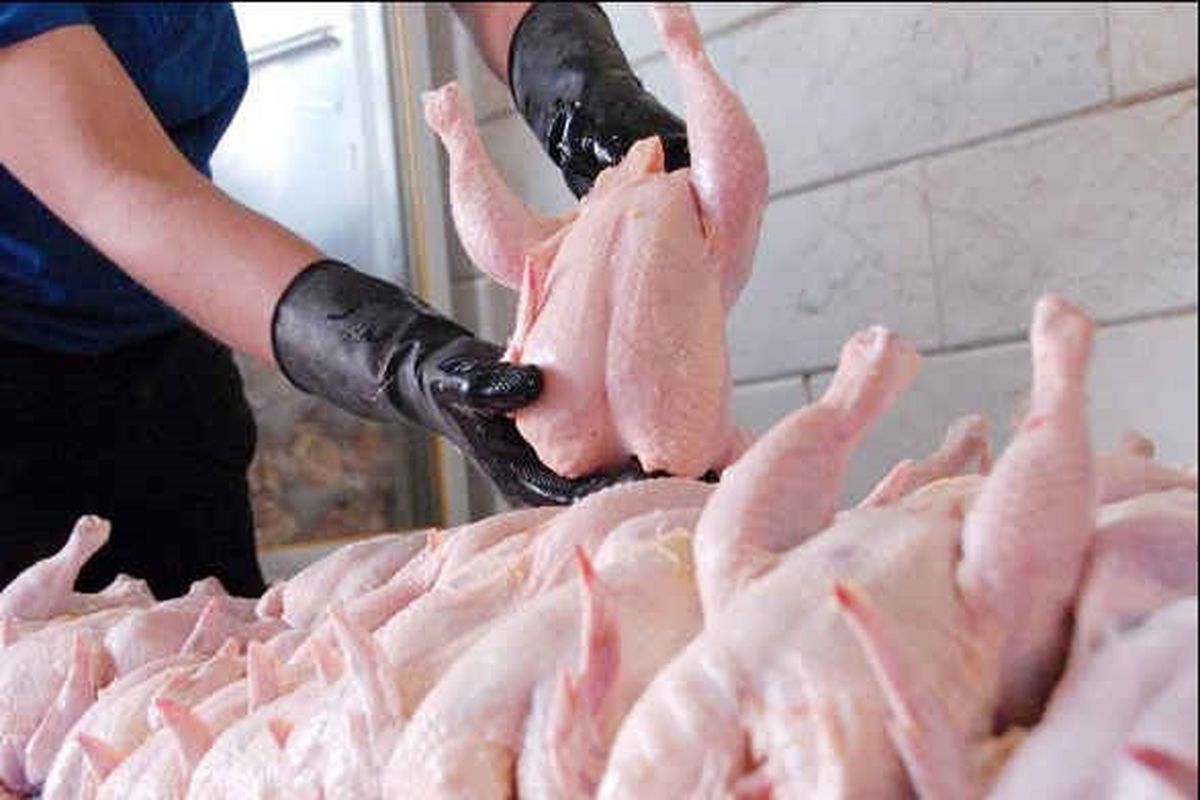 قیمت مصوب هر کیلوگرم مرغ و شکر در استان مشخص شد