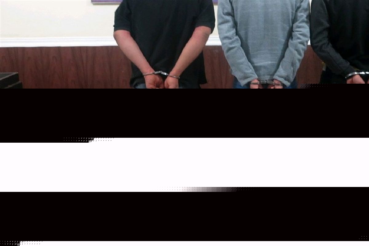 افزایش ۱۵ درصدی کشفیات سرقت طی سه ماه اول امسال