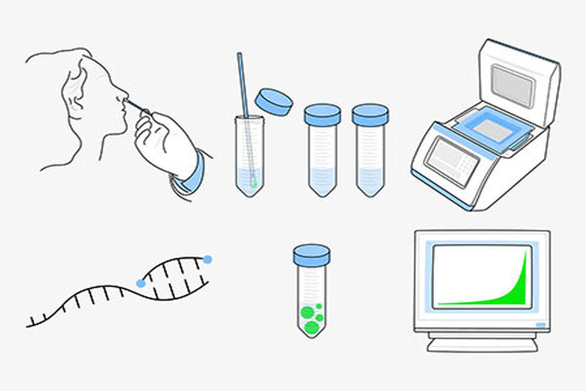 تست PCR برای تشخیص کرونا چقدر دقیق است؟